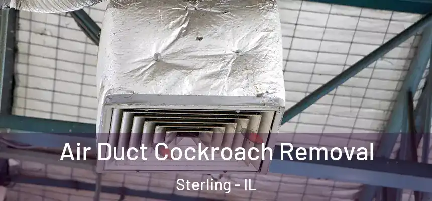 Air Duct Cockroach Removal Sterling - IL