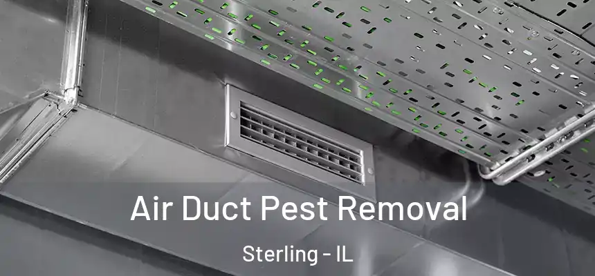  Air Duct Pest Removal Sterling - IL