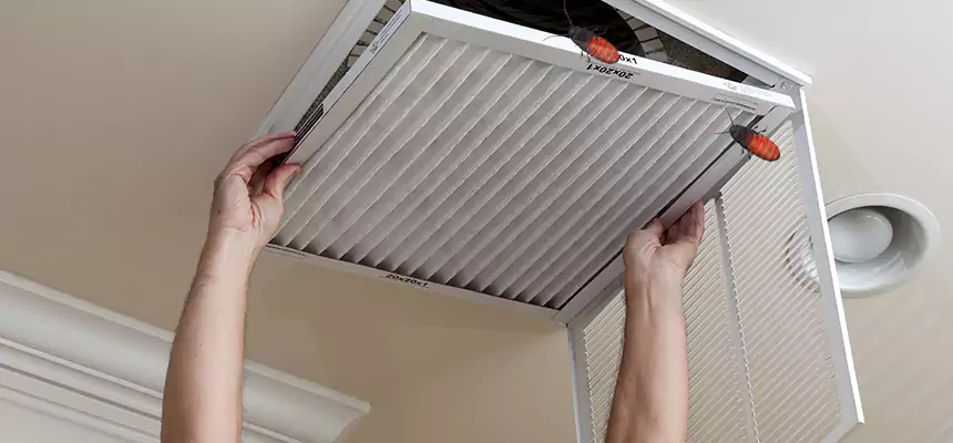 Preventive Cockroach-Proofing for Ducts in Sterling