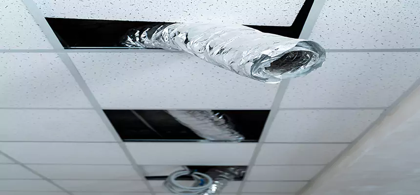 Affordable HVAC Sanitizing After Pest Removal in Sterling