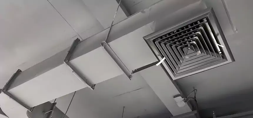 Restorative Allergy Relief Vent Cleaning – Coil, Blower & Housing Detail in Sterling