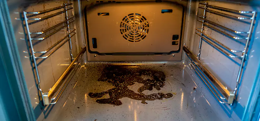 Our Dryer Vent Mold Cleaning Services in Sterling, IL