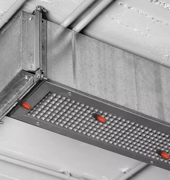Affordable Insect Removal from Air Ducts in Sterling, IL