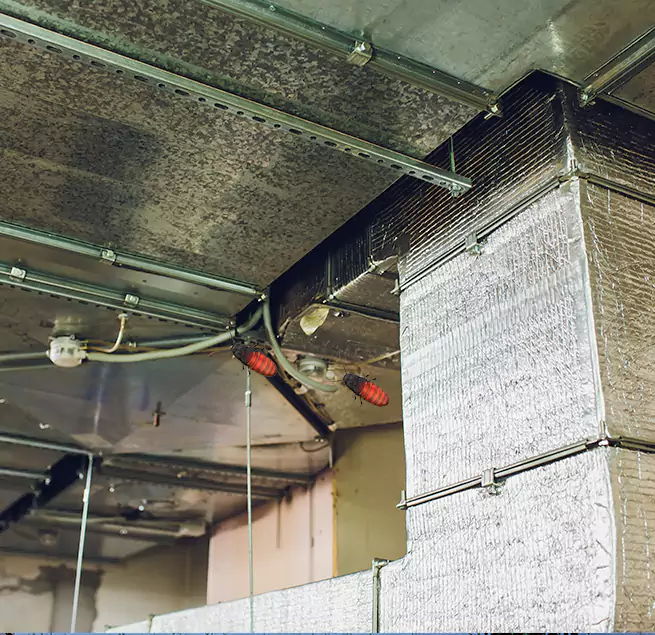 Why Homeowners & Businesses Trust Us in Sterling, IL?