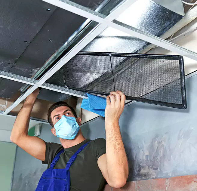 Why Homeowners Businesses Trust Us in Sterling, IL