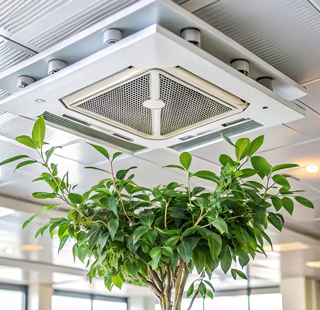 Why Homeowners & Businesses Trust Us in Sterling, IL